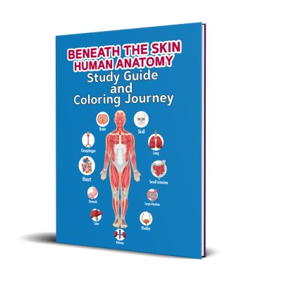 Beneath the Skin human anatomy study guide and coloring Book